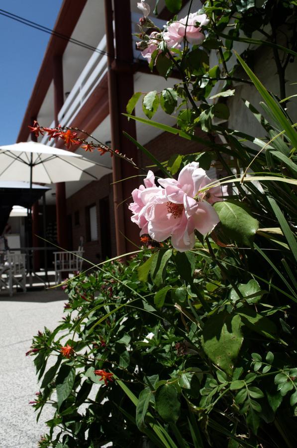 Hosteria Robert Villa Gesell Eksteriør bilde
